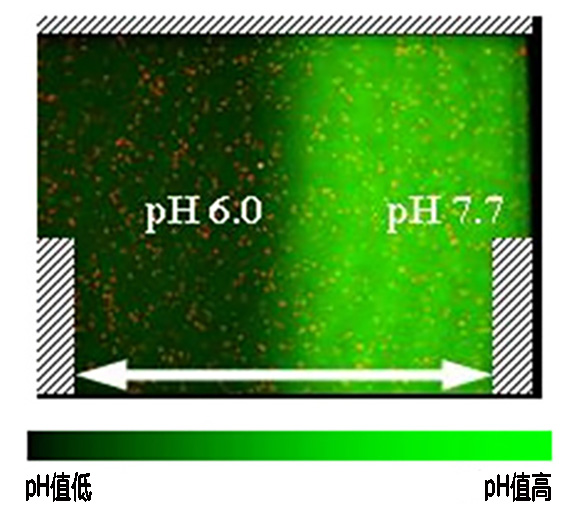 piv-sat-ptv_img03-1_CN.jpg